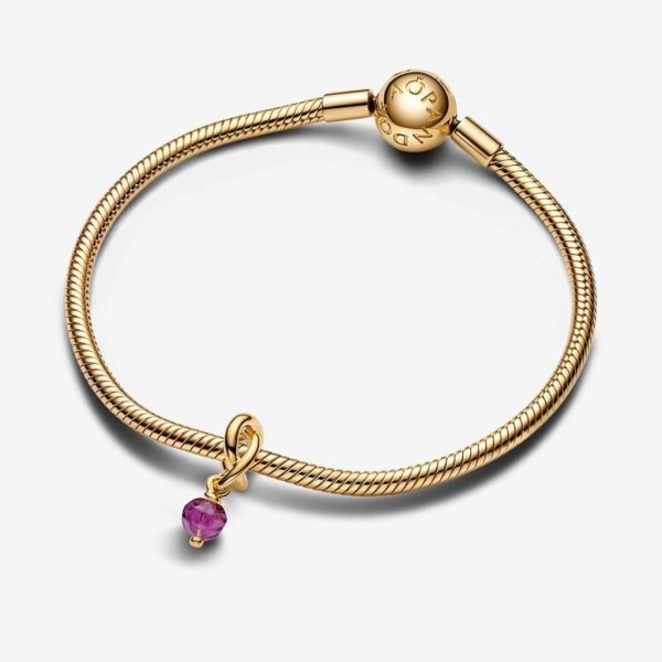 PANDORA : February Purple Eternity Circle Dangle Charm Online - Image 2